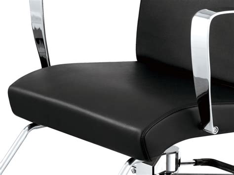 We stock and supply specialist high quality salon and spa equipment. "LYDIA" Salon Styling Chair (Free Shipping)
