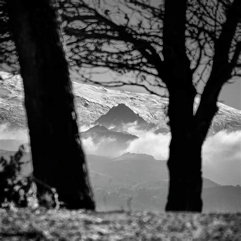 Foggy Mountains Through The Trees Trevenque Photograph By Guido