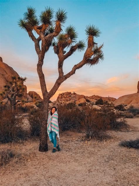 Beste Reisezeit Joshua Tree National Park Information Online