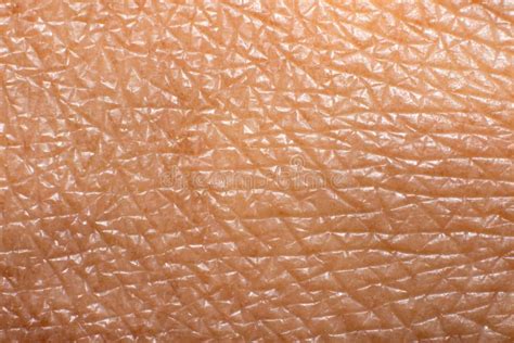 Close Up Macro Photo Of Human Skin Texture Stock Image Image Of Hand