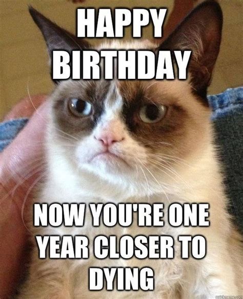 Grumpy Cat Happy Birthday Wish Is Very Morbid Happy Birthday Memes Know Your Meme