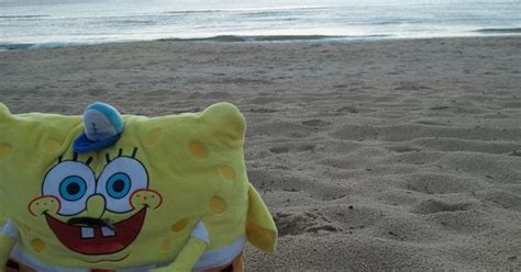 Spongebob On The Beaches Of Obx Beachy Keen ☺ Pinterest