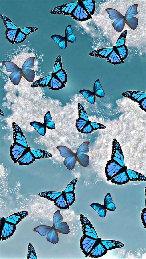 Blue Butterfly Aesthetic Blue Butterfly Wallpaper Cute Flower