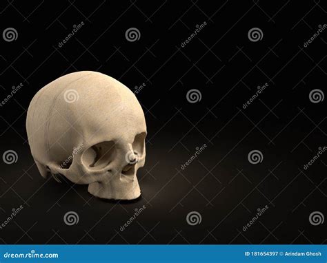 3d Render Of Side View Of Upper Half Of Human Skull On Black Background