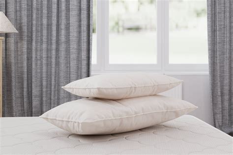 Lifekind® Gots Certified Organic Cotton Pillow