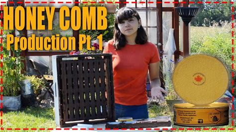 Producing Honey Comb Pt1 🍯 Youtube