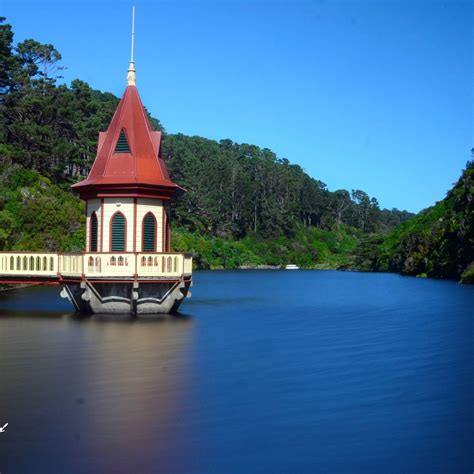 Zealandia Ecosanctuary Wellington All You Need To Know Before You Go