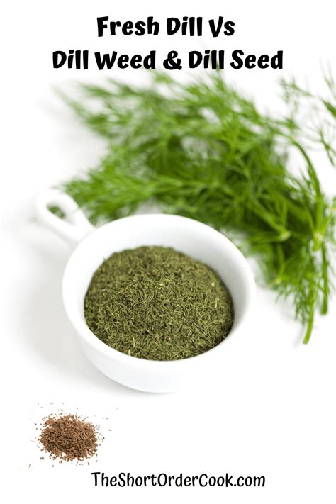 fresh dill vs dill weed and dill seed the short order cook