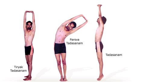 Einzigartig Tadasana Palm Tree Posture Yoga Poses Pic
