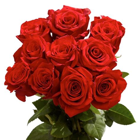 Globalrose 2 Dozen Red Roses Vars 2 Dozen Red Roses The Home Depot