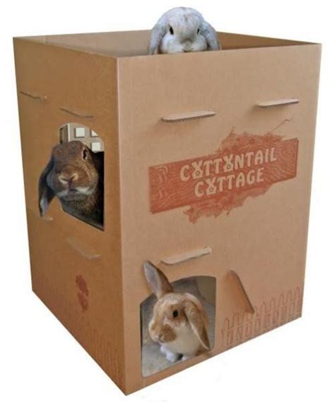 Cottonatail Cottage Cardboard Rabbit House Bunny House Bunny Care