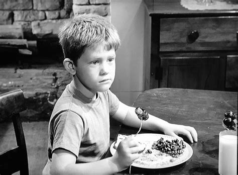 The Andy Griffith Show (1960)