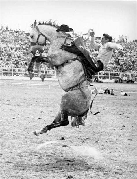 1962 World Champion Saddle Bronc Rider Kenny Mclean The Horse May Be