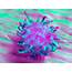 Lymphoma Cancer Cell  Stock Image F017/6177 Science Photo Library