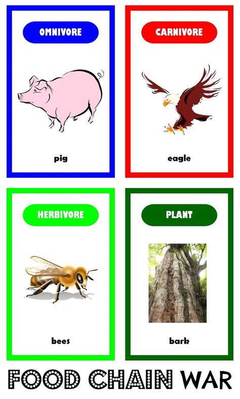 Food Chain Clipart Best