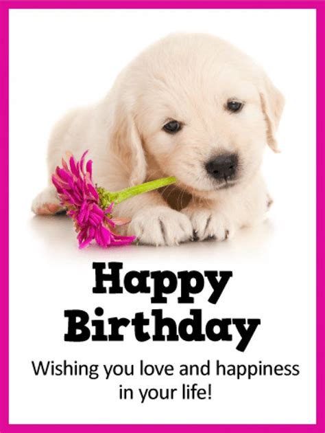 Send Free Sweet Puppy Happy Birthday Card To Loved Ones On Birthday