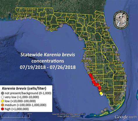 Red Tide Kills Thousands Of Fish, Marine Life