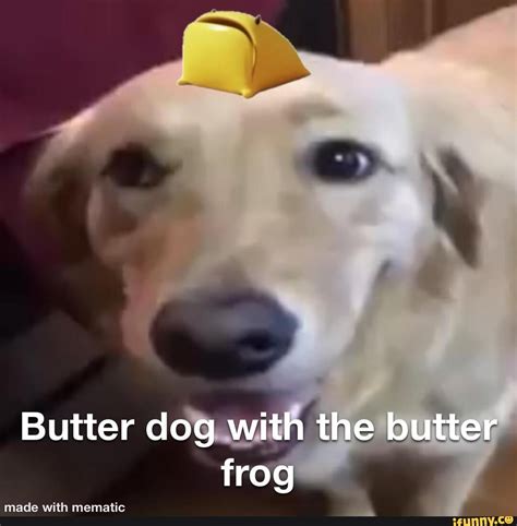 Butter Dog With The Butter Frog Ifunny