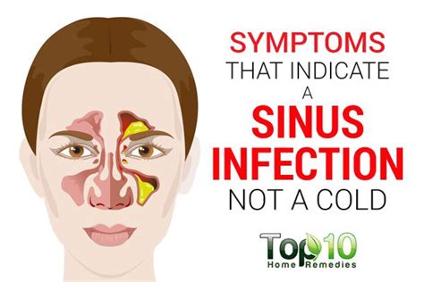 Symptoms That Indicate A Sinus Infection Not A Cold Top 10 Home Remedies