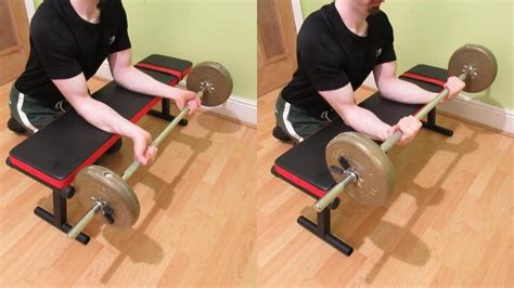 Seated Palm Up Barbell Wrist Curl