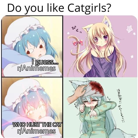 Dont Mess With The Catgirls Ranimemes Meis No Know Your Meme