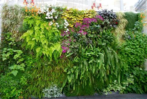 Best Plants For Vertical Garden Vertical Garden Plants