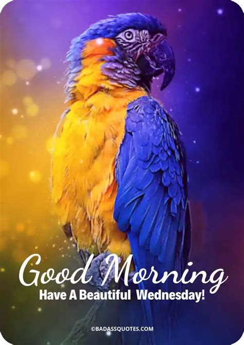 Good Morning Wednesday Images With Colorful Bird Good Morning