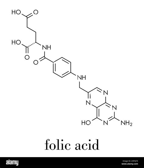 Vitamin B9 Folic Acid Molecule Skeletal Formula Stock Vector Image