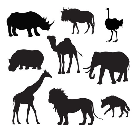 Zebra Svg Safari Animals Zoo Animals SVG File - Download All Free Font