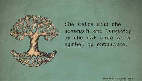 Celtic Tree Of Life Crann Bethadh Meaning