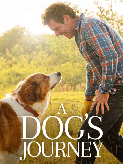 What is your best dog movie of all time? Mine should be "A Dog's