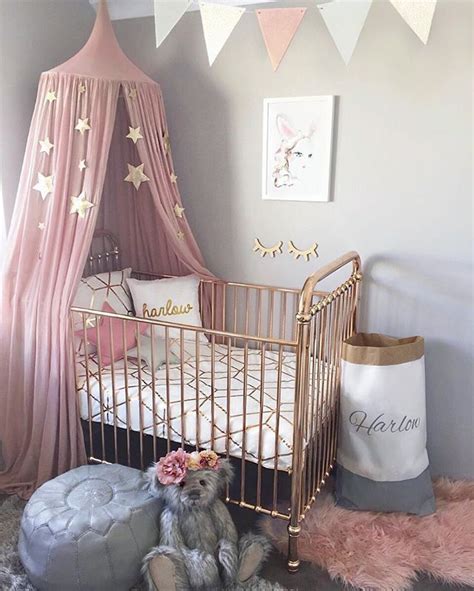 Some crib canopies are simply a rod that extends up and over the crib. pink canopy over crib | Baby girl bedroom, Baby girl ...