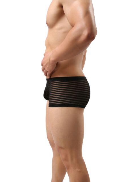 Mens Striped Sheer Underwear Mesh Boxer Briefs Trunks Shorts Underpants M Xl Ebay