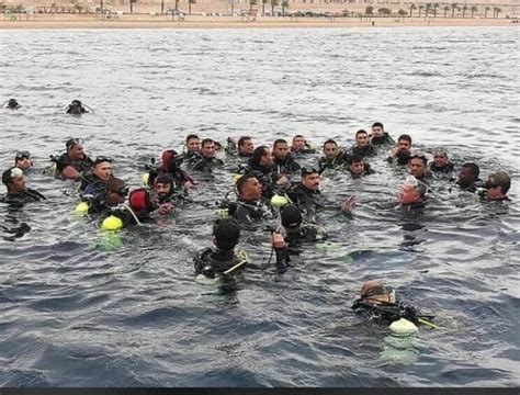 بدء تقديم الحرس الملكي السعودي على وظائف عسكرية لخريجي الثانوية العامة وما يعادلها، وفق إعلان وظائف رئاسة الحرس الملكي بوابة القبول والتسجيل الإلكترونية، وما. الملك يشارك الغطس برفقة كوكبة من الحرس الملكي في العقبة ...
