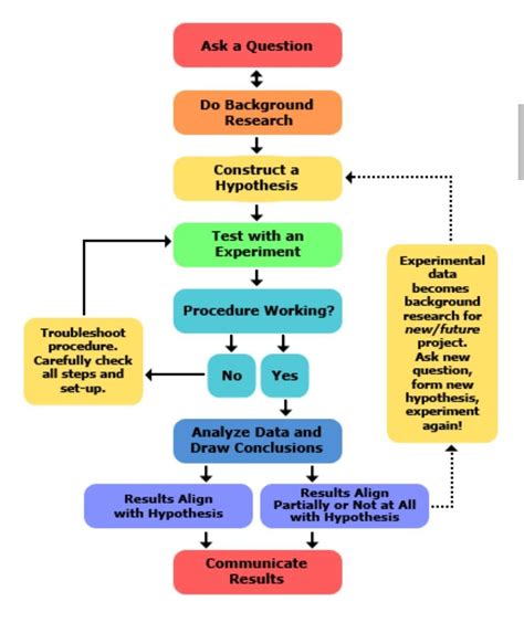 Heres One Way To Follow The Scientific Method Place The Missing Steps