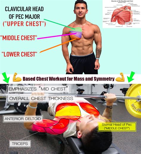 Best Science Based Chest Workout