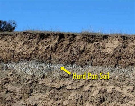 What Causes Hard Pan Soil Septic Drainer