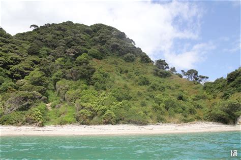 Most Beautiful Beaches Of New Zealand 2 Null And Full
