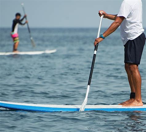 Paddleboard Tours Kayak And Paddleboard Rentals And Eco Tours