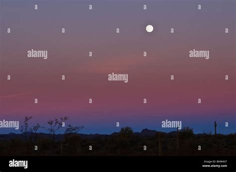 Full Moon Over The Arizona Desert Just Before Sunrise Stock Photo Alamy