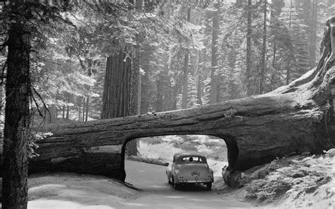 Vintage Photos Of The Early Days Of Our National Parks Cbs News
