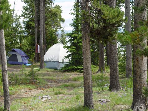 The campground is only open during summer. Grant Village Campground | Yellowstone National Park Lodges