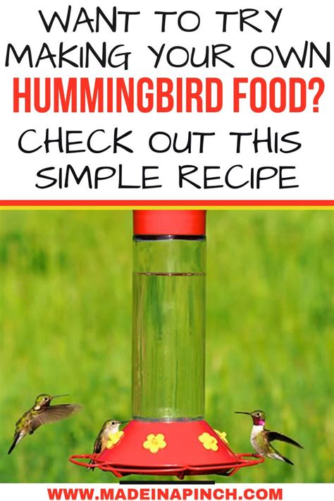 Hummingbird Recipe For Food