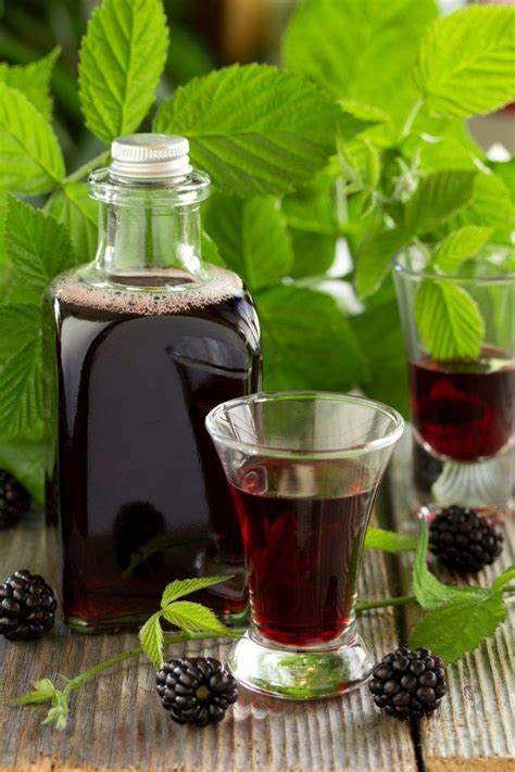 Sirop de mûre Recettes Cooking Recette