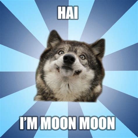 Moon moon memes are epic and super hilarious, kudos to all the fans and creative minds who have made these. Moon moon!! | Moon moon memes, Funny wolf, Animal memes