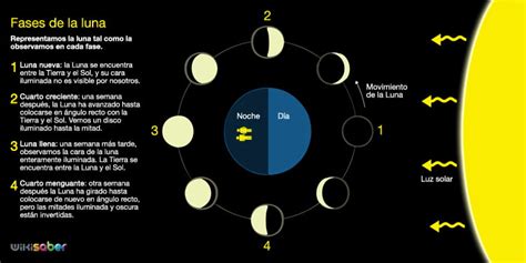 ¿cuánto Dura Cada Fase Lunar Cuánto Y Como