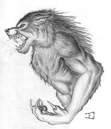 Werewolf Drawings Bilscreen