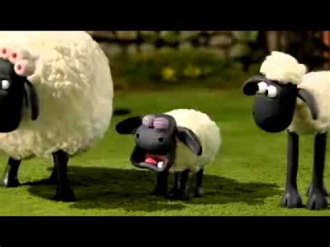 Shaun the sheep piknik romantis frantic romantic. Shaun The Sheep - Timmy loses his Teddy Bear... - YouTube