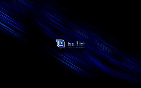 Blue Linux Wallpapers 4k Hd Blue Linux Backgrounds On Wallpaperbat