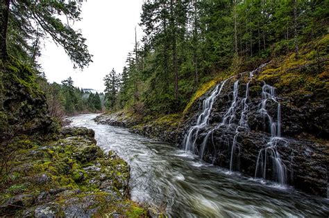Hd Wallpaper Canada Forests Moss Nature River Rivers Sooke